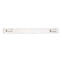 Stainless Steel Cable Tags, 10mm x 110mm x 100pack (SSTAG-11010-7316)